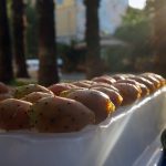 Sonne und 40 Grad im Schatten – Kurztrip in die Türkei