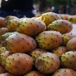 Sonne und 40 Grad im Schatten – Kurztrip in die Türkei