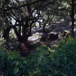 Reisebericht zu Korfu – Unterwegs mit Corfelios