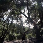 Reisebericht zu Korfu – Unterwegs mit Corfelios