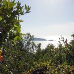 Reisebericht zu Korfu – Unterwegs mit Corfelios