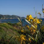 Reisebericht zu Korfu – Unterwegs mit Corfelios