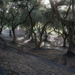 Reisebericht zu Korfu – Unterwegs mit Corfelios