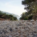 Reisebericht zu Korfu – Unterwegs mit Corfelios