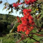 Reisebericht zu Korfu – Unterwegs mit Corfelios