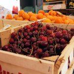 Reisebericht zu Korfu – Unterwegs mit Corfelios