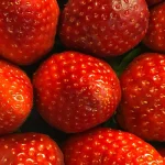 Frische rote Erdbeeren zu Trockenfrüchten