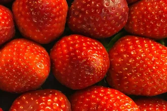 Frische rote Erdbeeren zu Trockenfrüchten