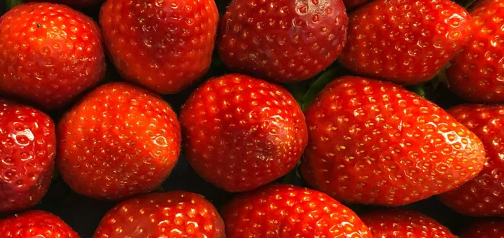 Frische rote Erdbeeren zu Trockenfrüchten